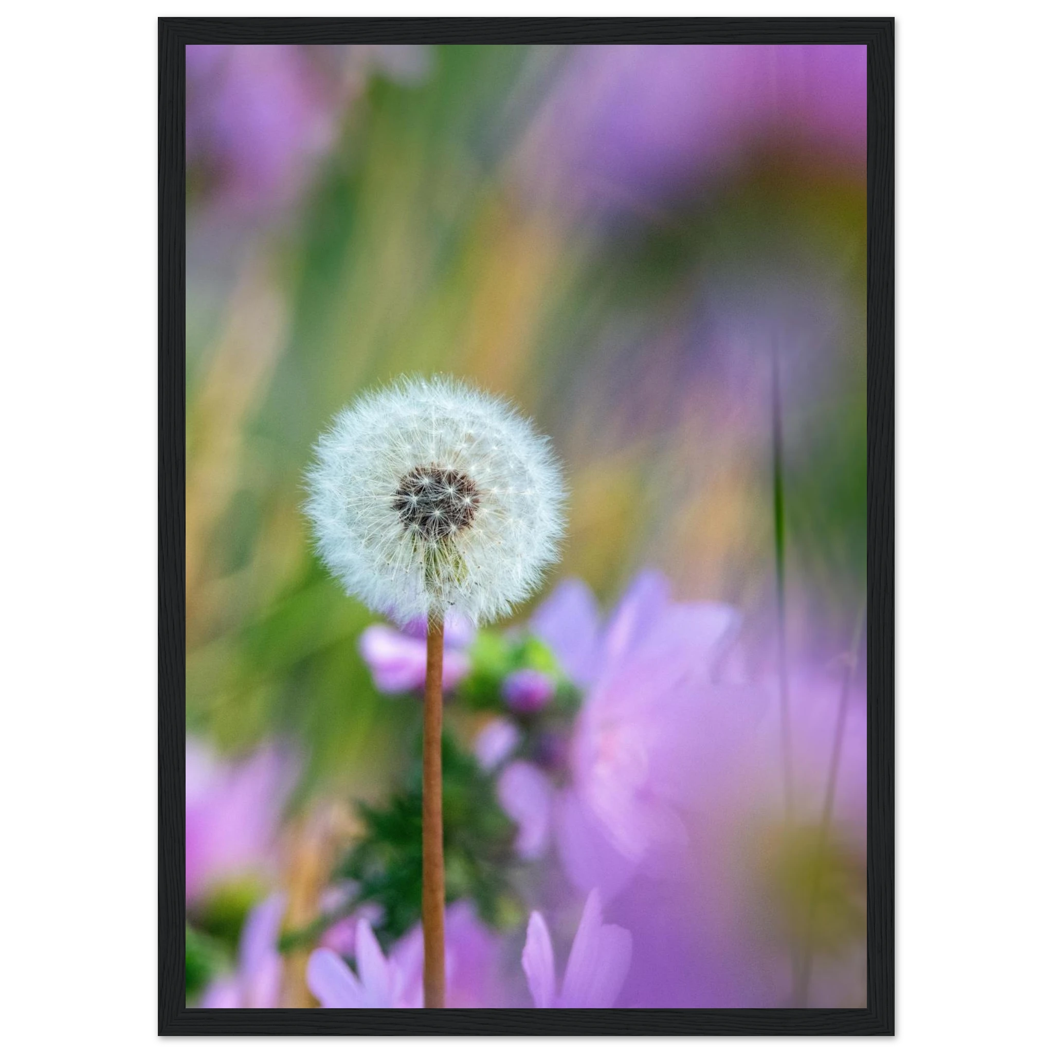 cc5a04fd-23b9-4ffc-9ebb-c3d08040d233