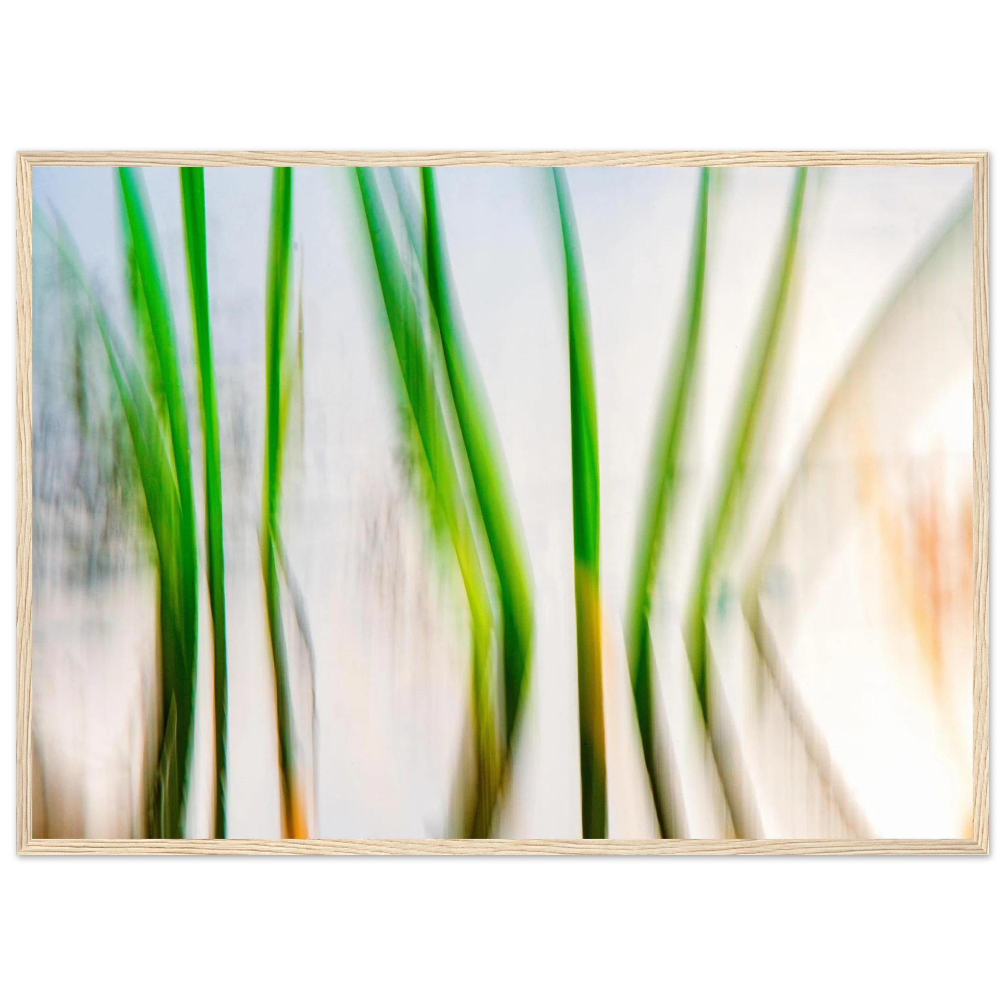 cc60a73e-d674-4014-b54c-56d9a0b62418