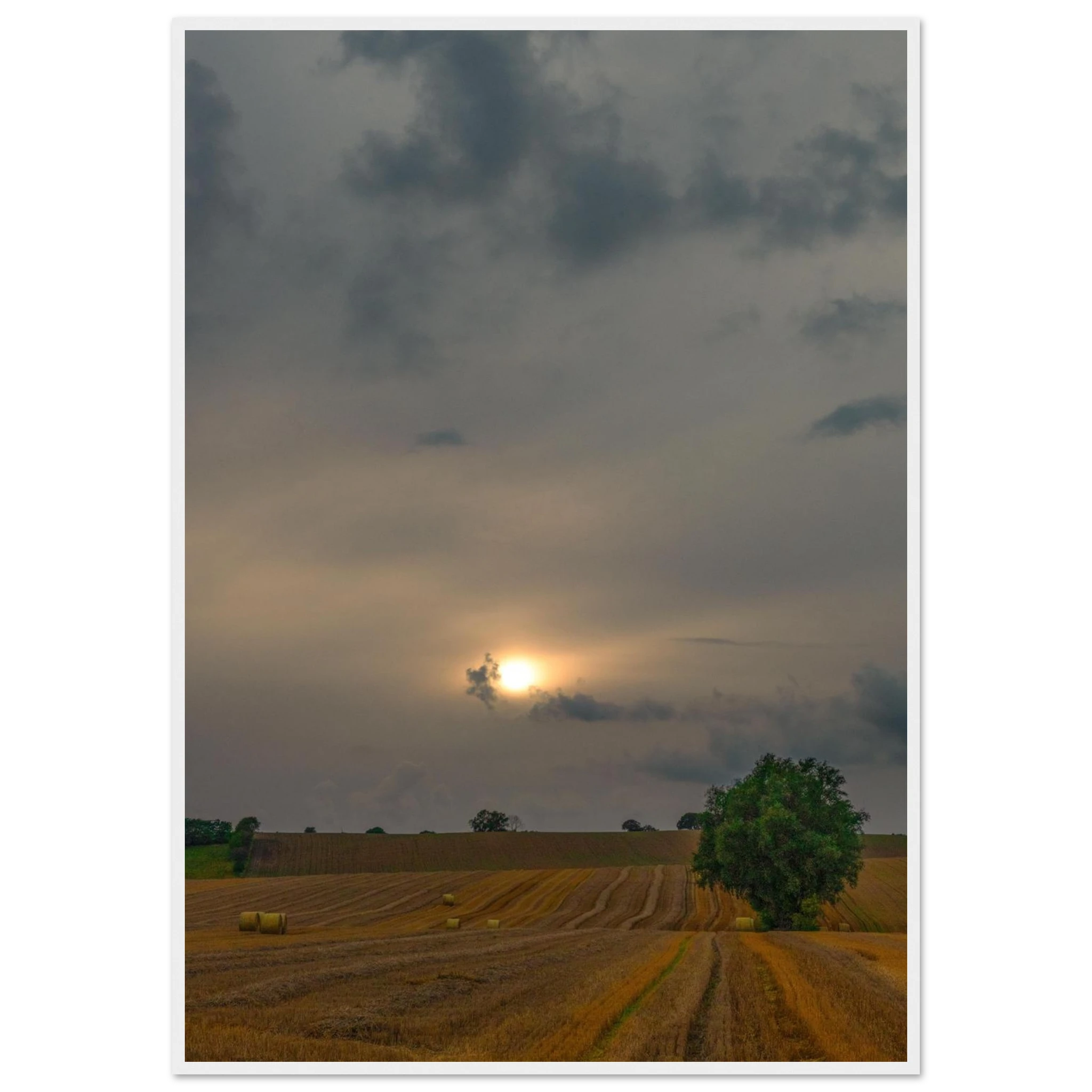 cc7a35c2-f587-42ab-876e-d49ba2db565b