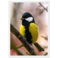 cda25a63-f852-485f-91c9-7ba251779dc0