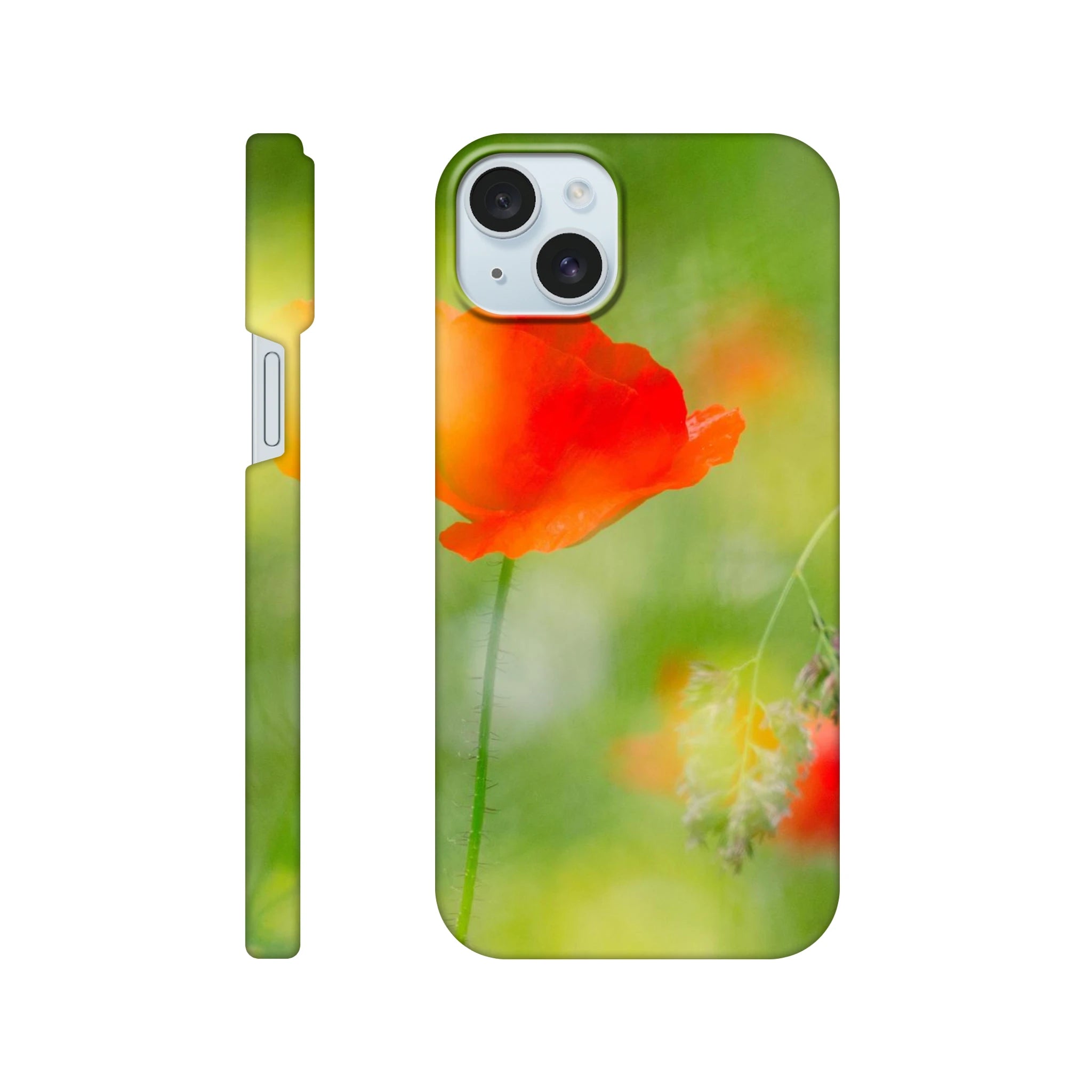 cde2efdb-2bf8-47de-8385-d2a57a8656ca