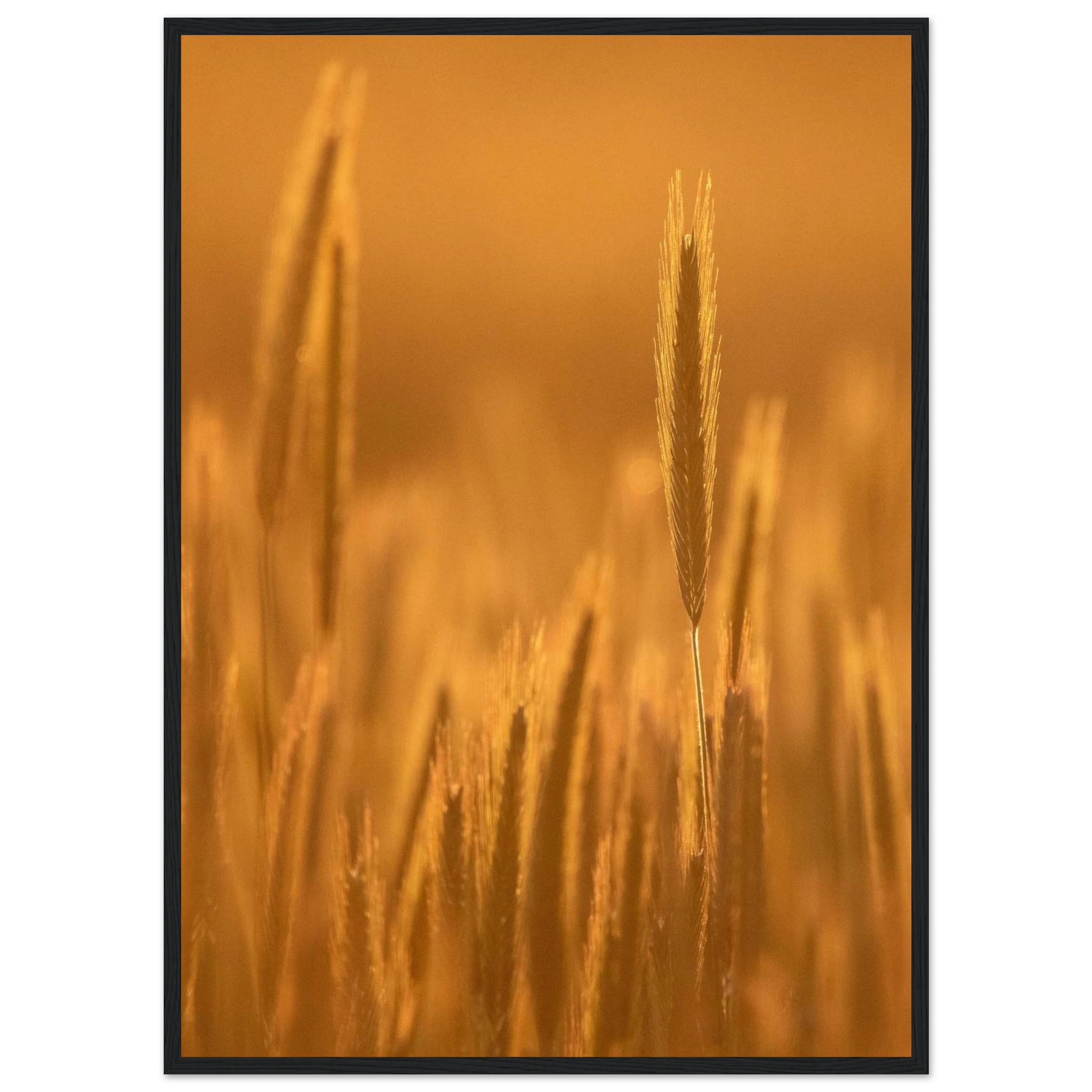 cdedf8f4-a45f-4188-8327-dbcba6d51409