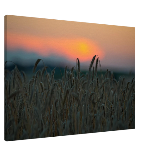 ce385bc4-d378-477f-a13d-545d737ac4d1