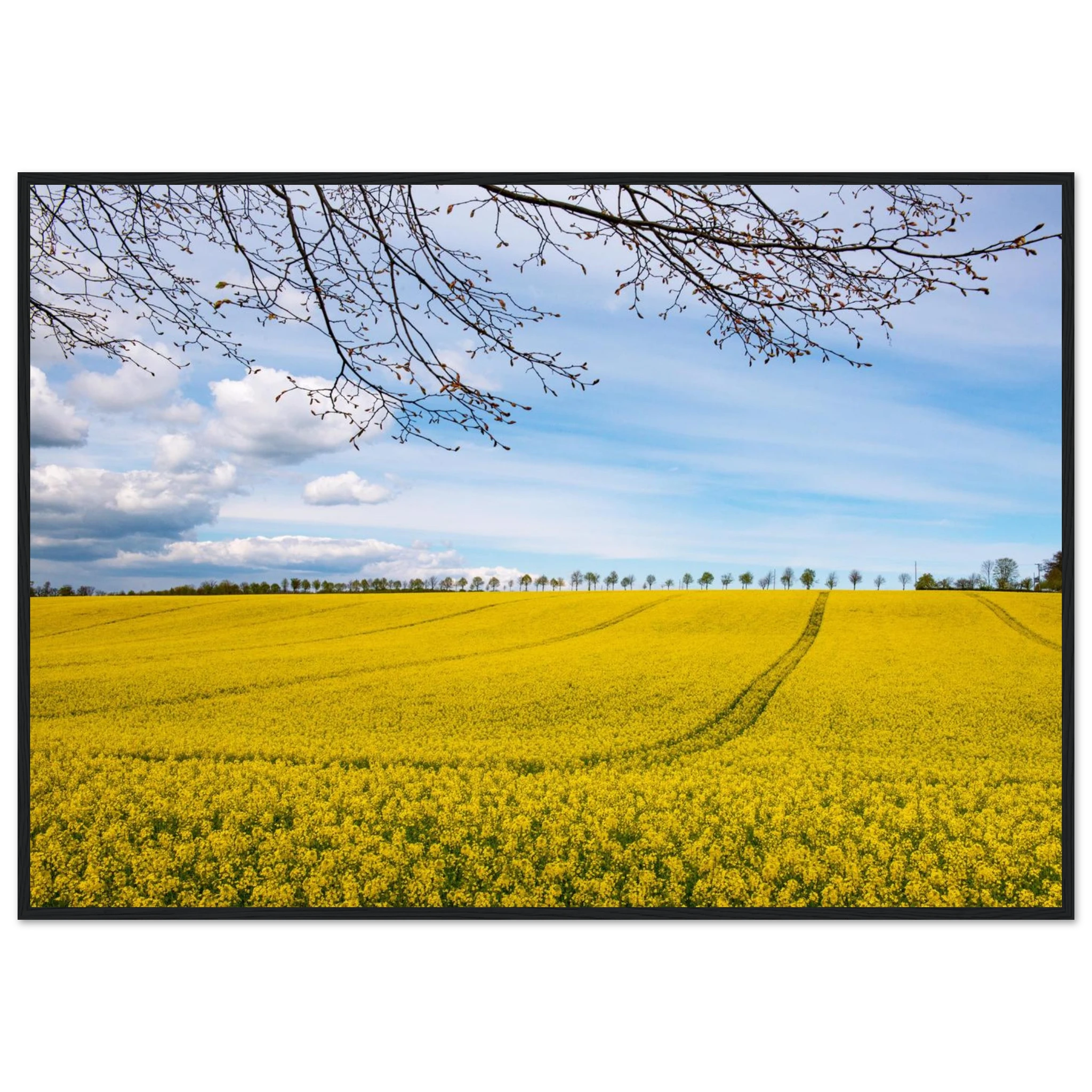ceba5d65-f8a8-4a69-bd4b-18671ad6694a