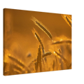d0100160-ad0c-4d77-99c1-972becddaf72