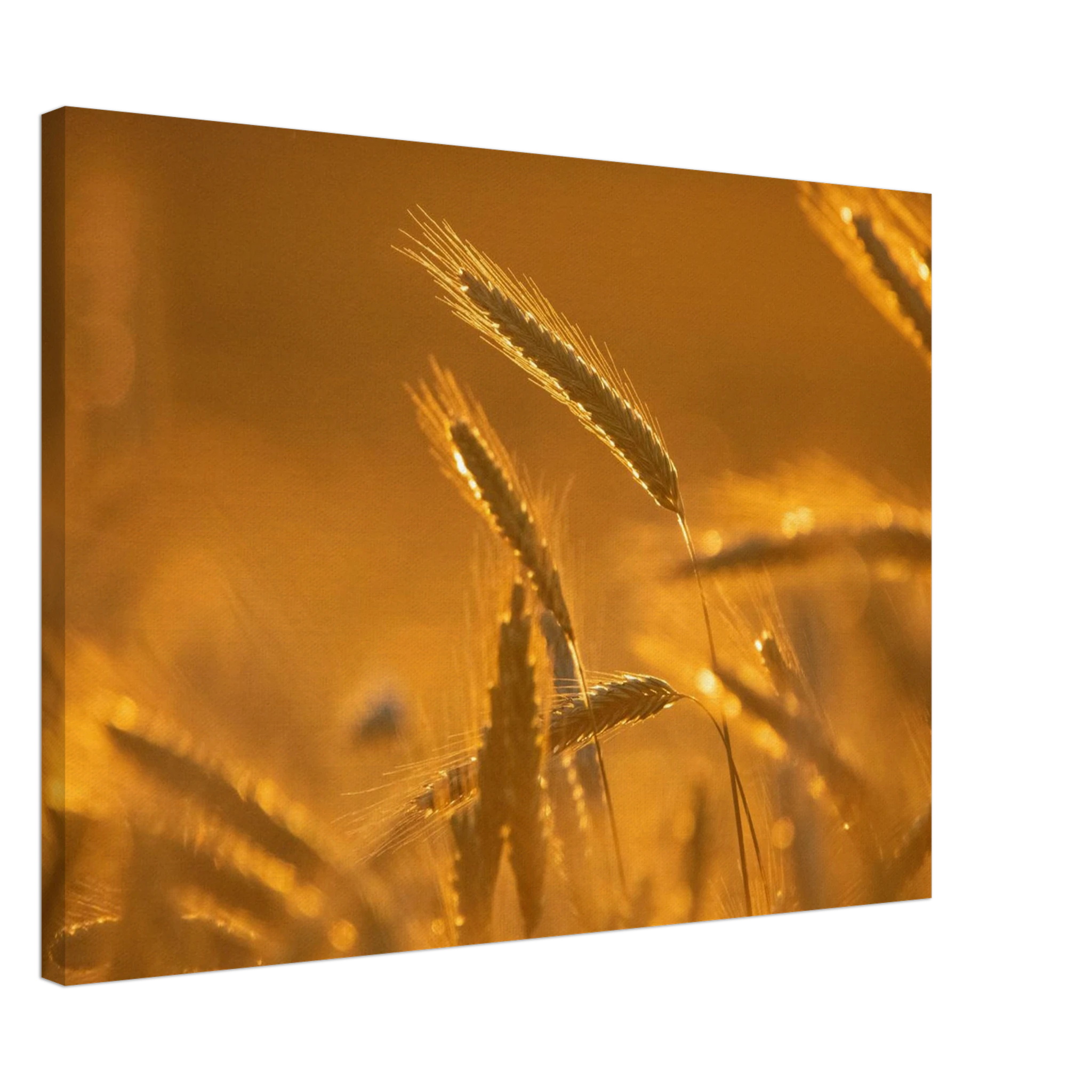 d0100160-ad0c-4d77-99c1-972becddaf72