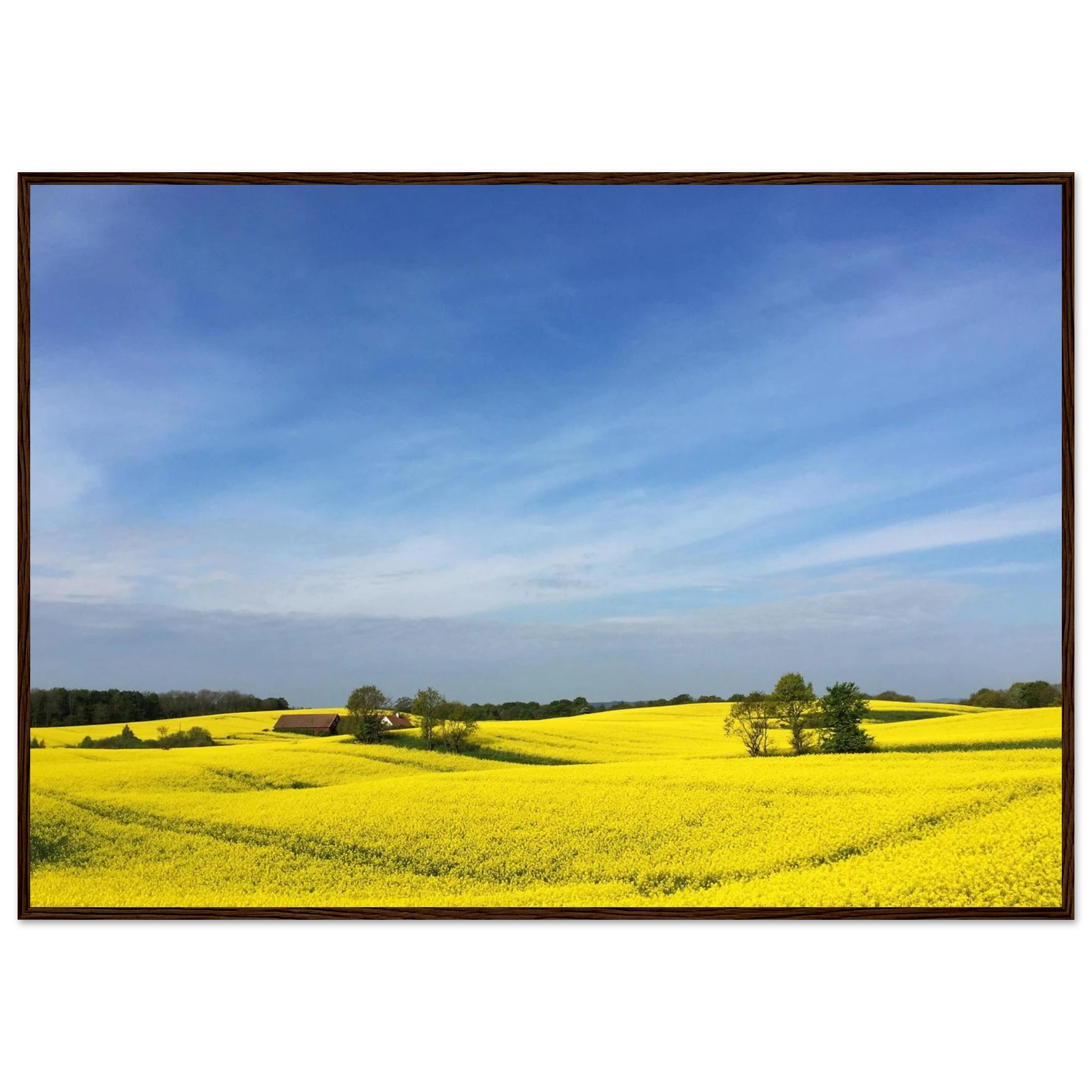 d1b587e8-8380-454c-8c48-74267ae03541