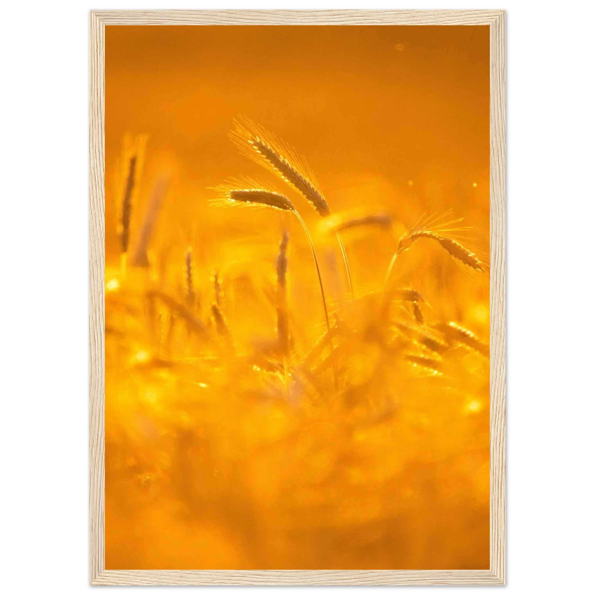 d28c310c-6634-4680-a606-46492282fa32