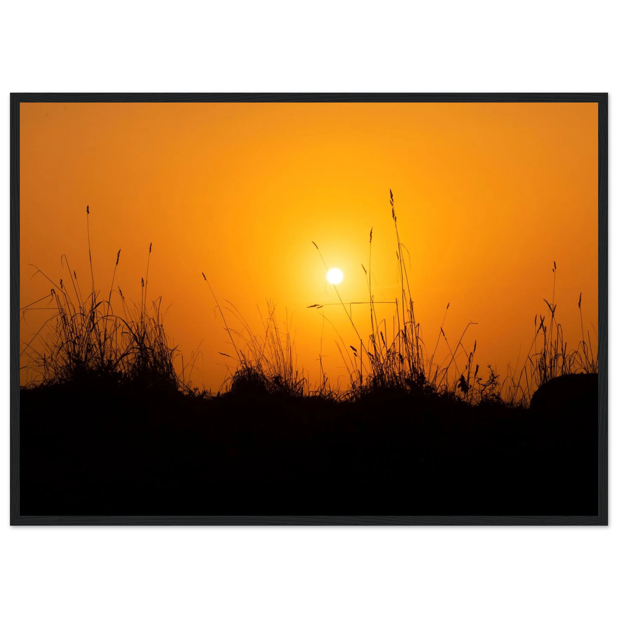 d2c12212-213d-4b4c-a79b-2ef3ed615fd1