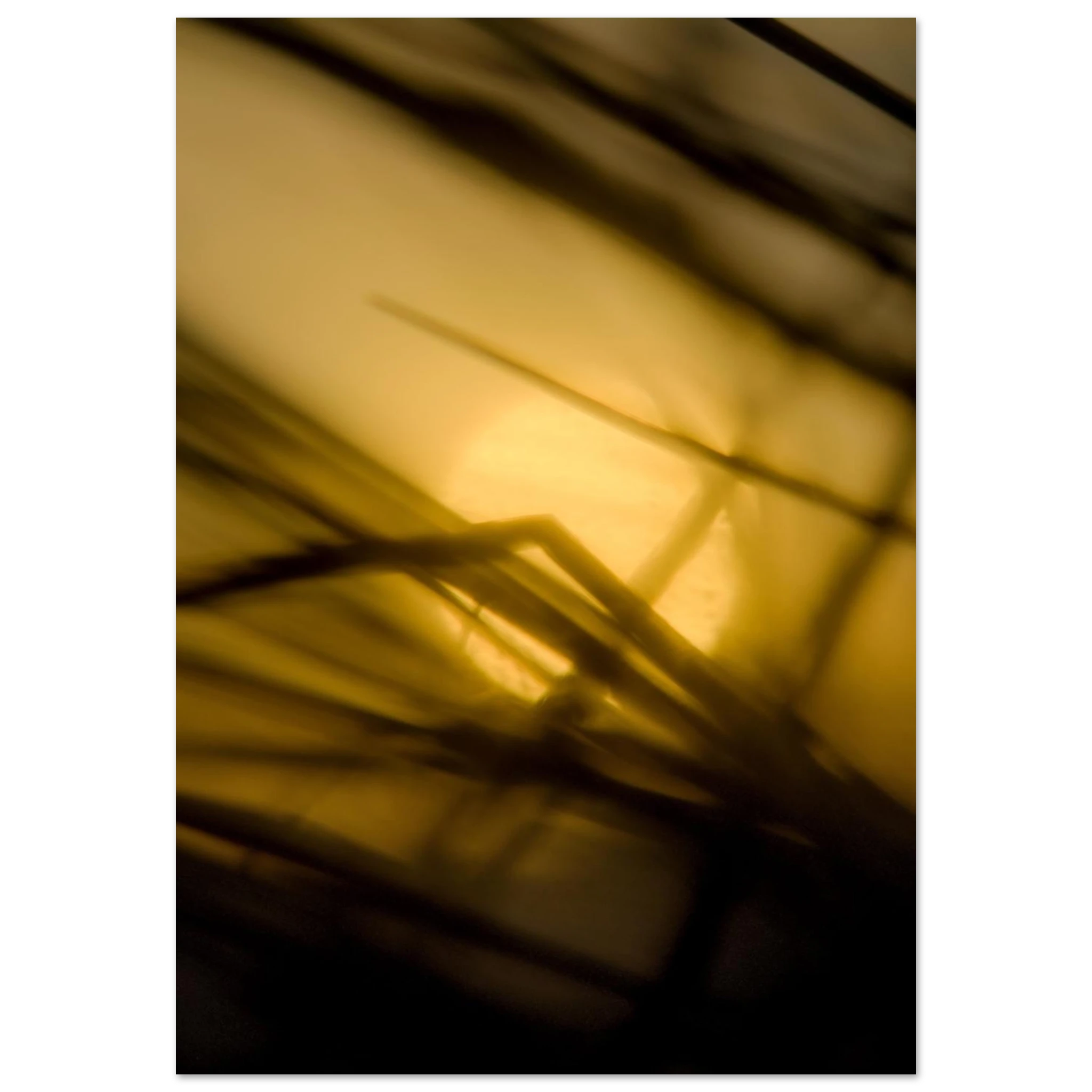 d2f26d82-006a-4d25-a673-73bbf1639430