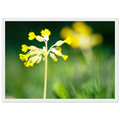 d307b048-ef53-4de5-a454-455ed2db4b95