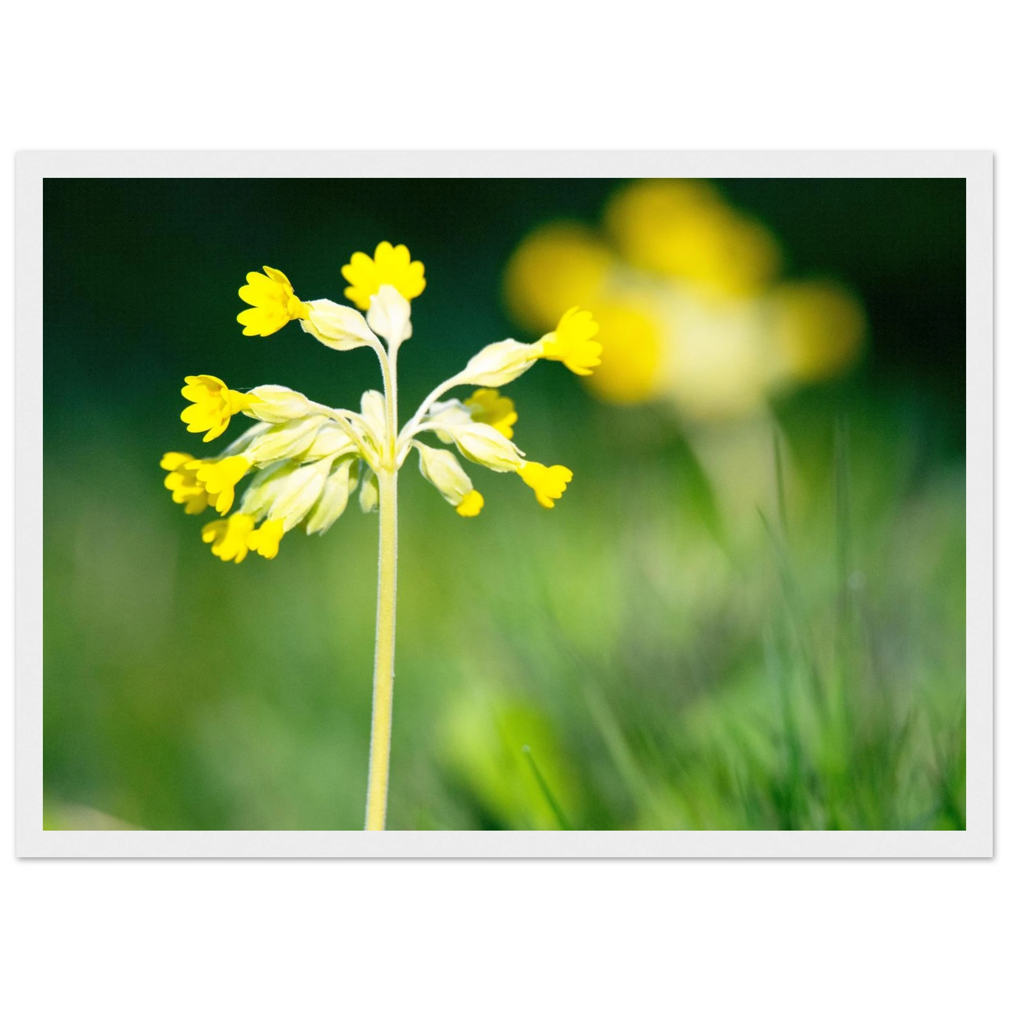 d307b048-ef53-4de5-a454-455ed2db4b95