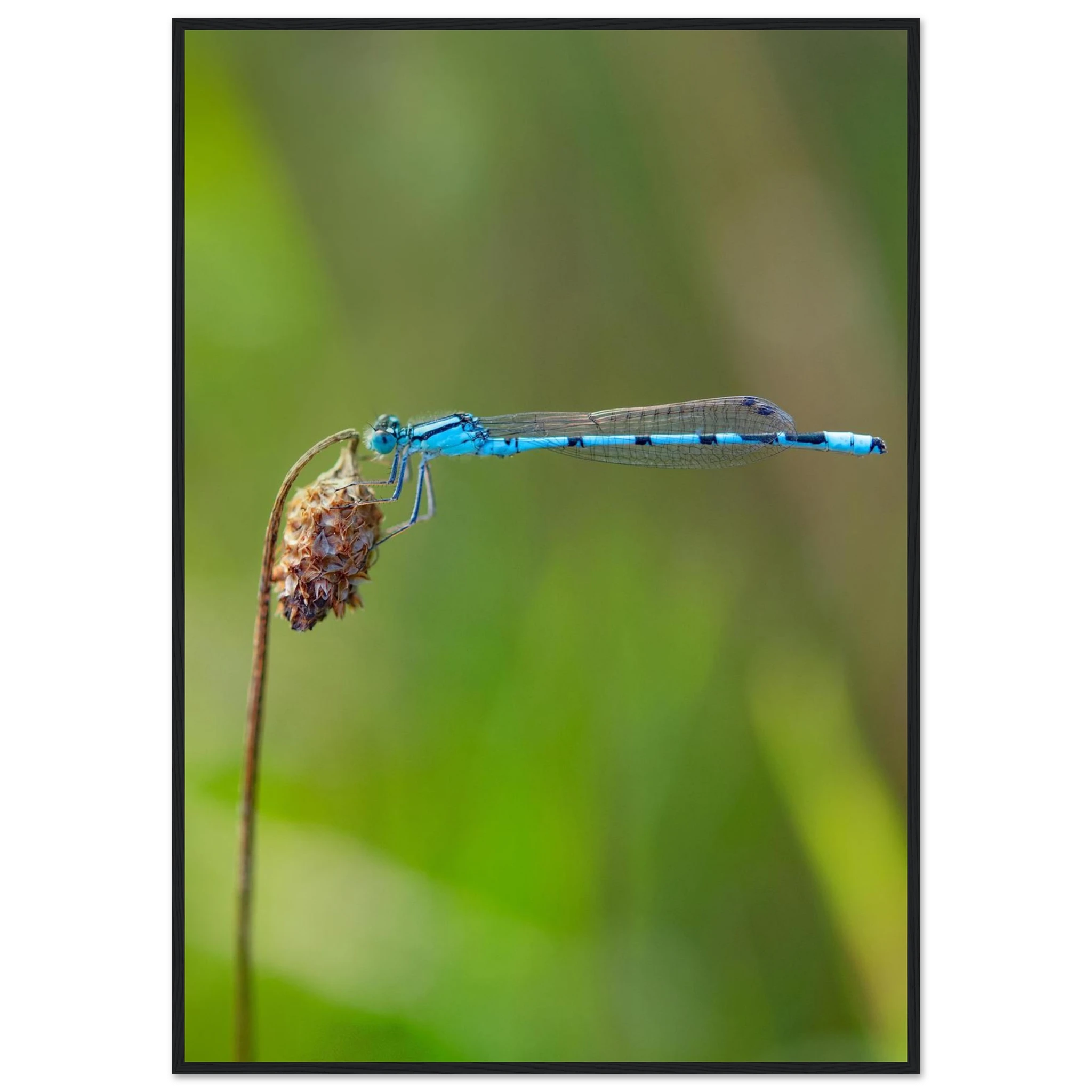 d321759d-27c6-44b0-b02e-2dbafb65a601