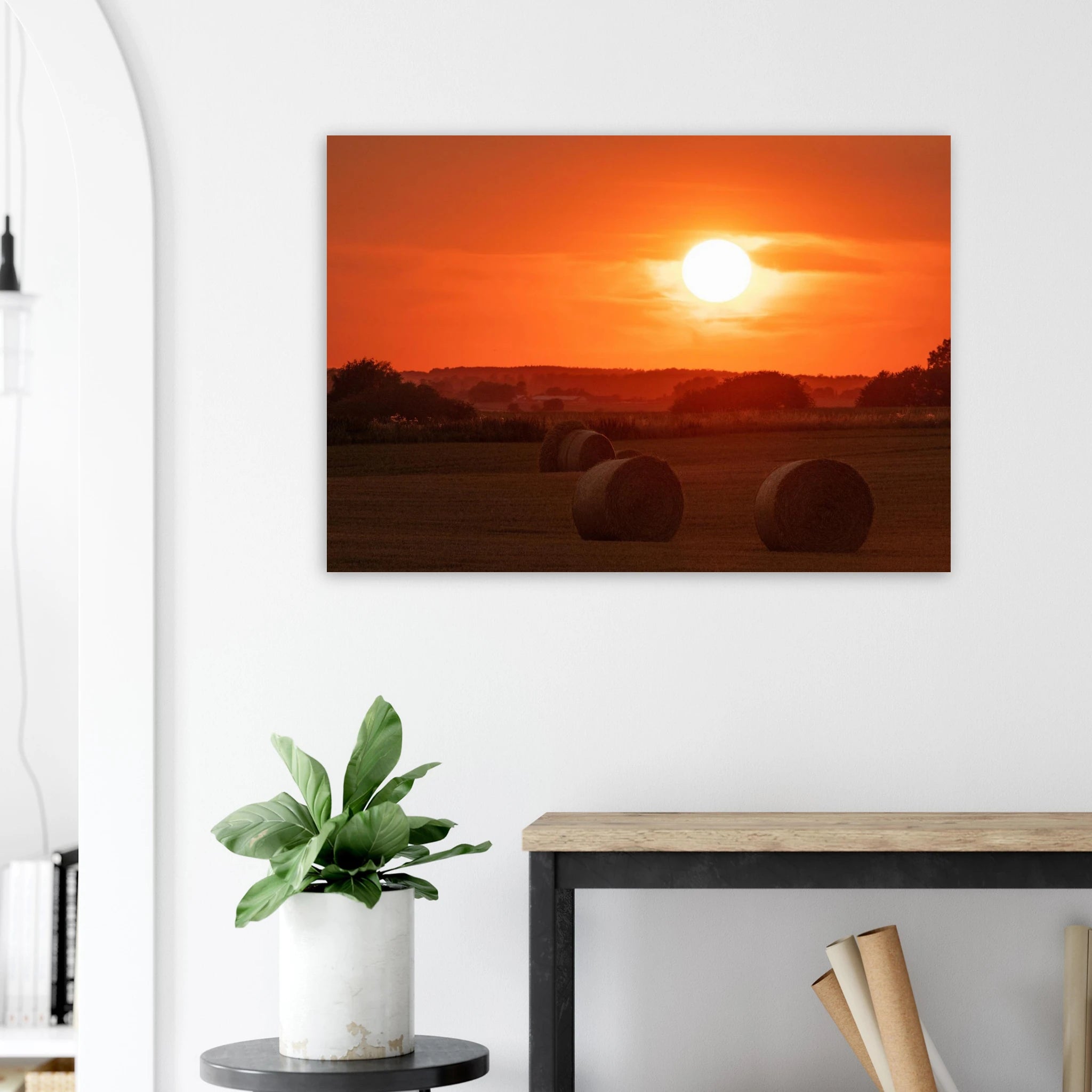 d323d42e-009c-4cda-b7ae-5904c95ab9c0