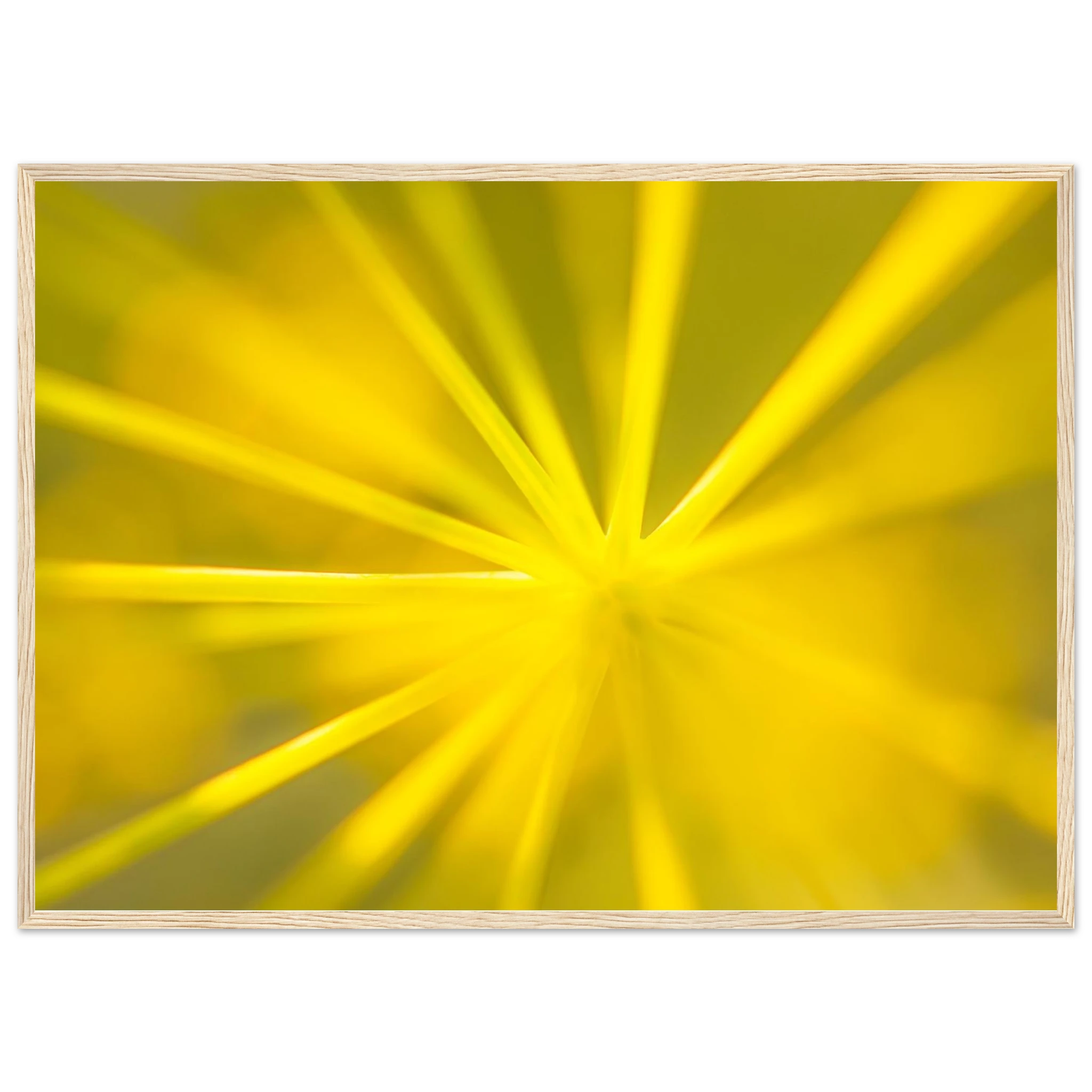 d3a8bbb2-6240-4f18-82ea-a84c2a9fd022