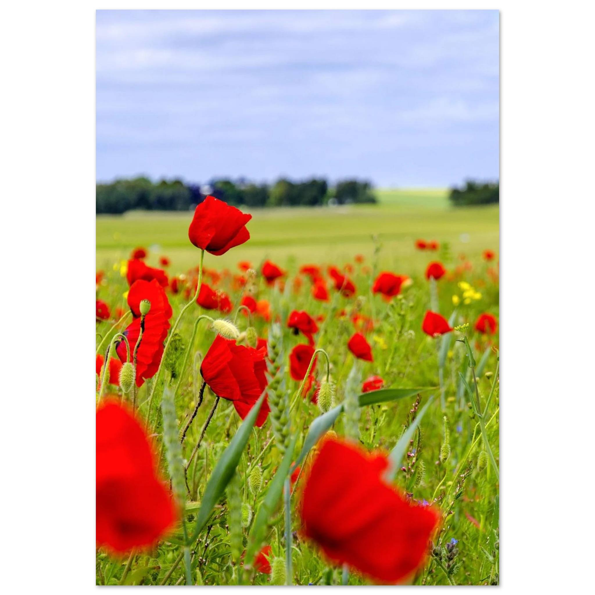 d4087294-00cd-4fd3-afe4-542fb37dc7b6
