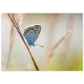 d4ad336f-2595-47d5-8eba-5cb50d0f28fa