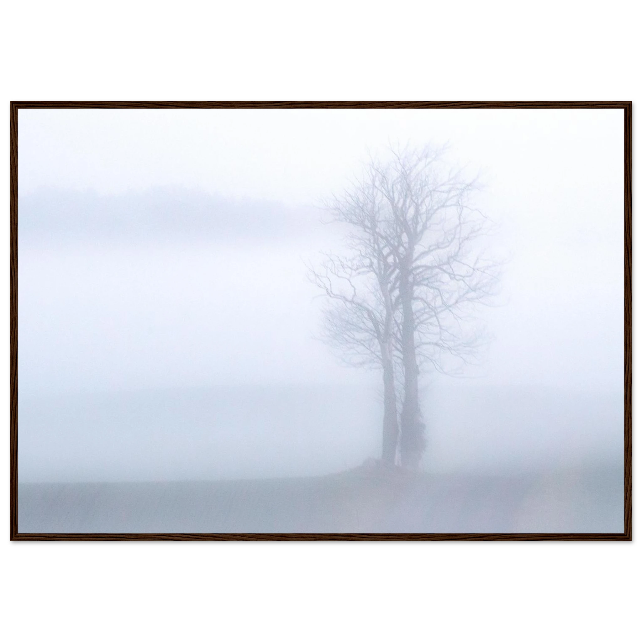 d4dfa9d7-2af7-4c51-970f-ddc65bce543a