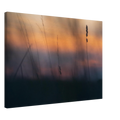 d50836c4-5587-471f-bef7-dea857895f73