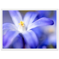 d509b34e-82b4-44e7-886f-1affc7b38afd