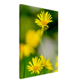 d51462c9-f9fd-4a09-b51e-3a7702552b07