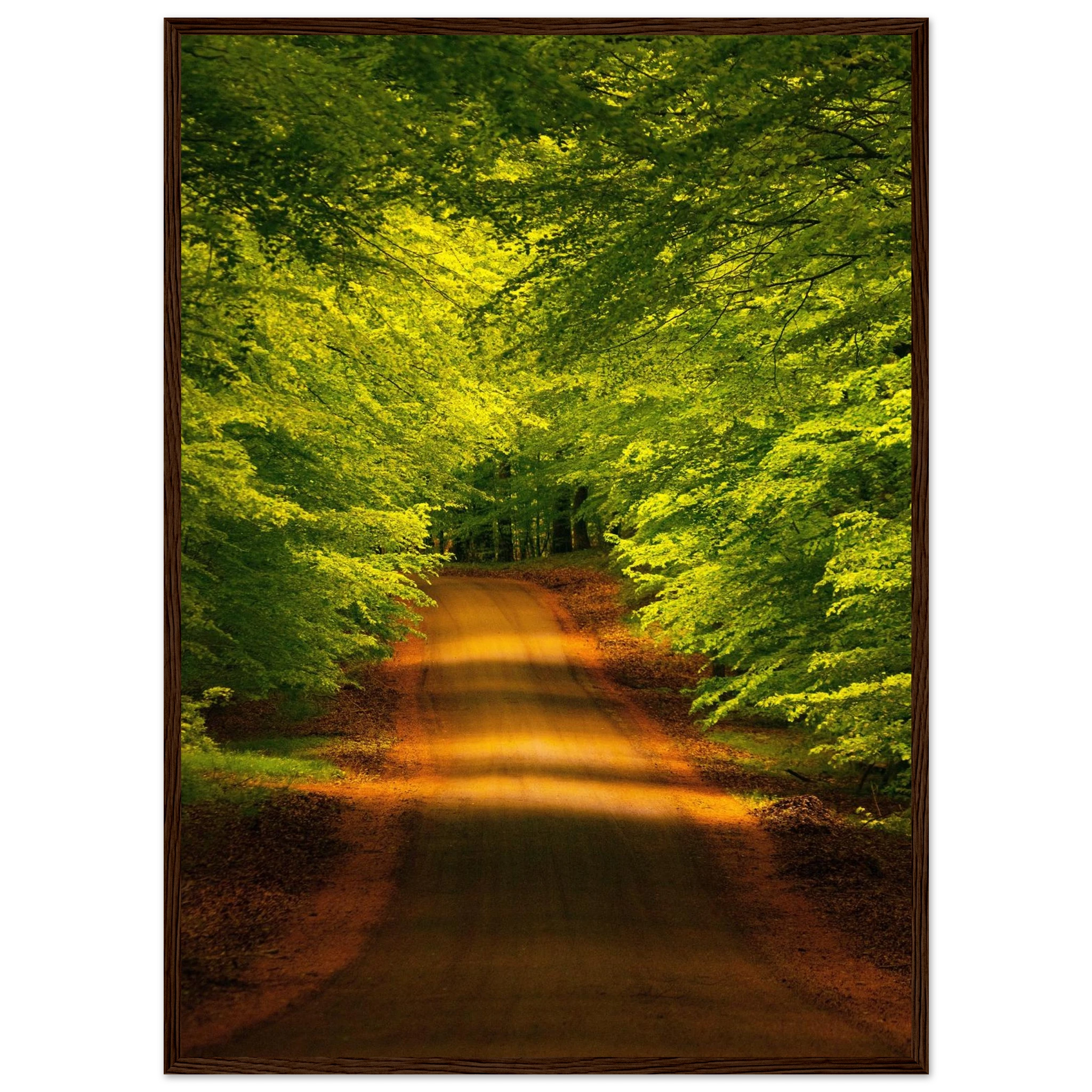 d55633fb-caae-4fd8-9f85-f07e16a9c06c