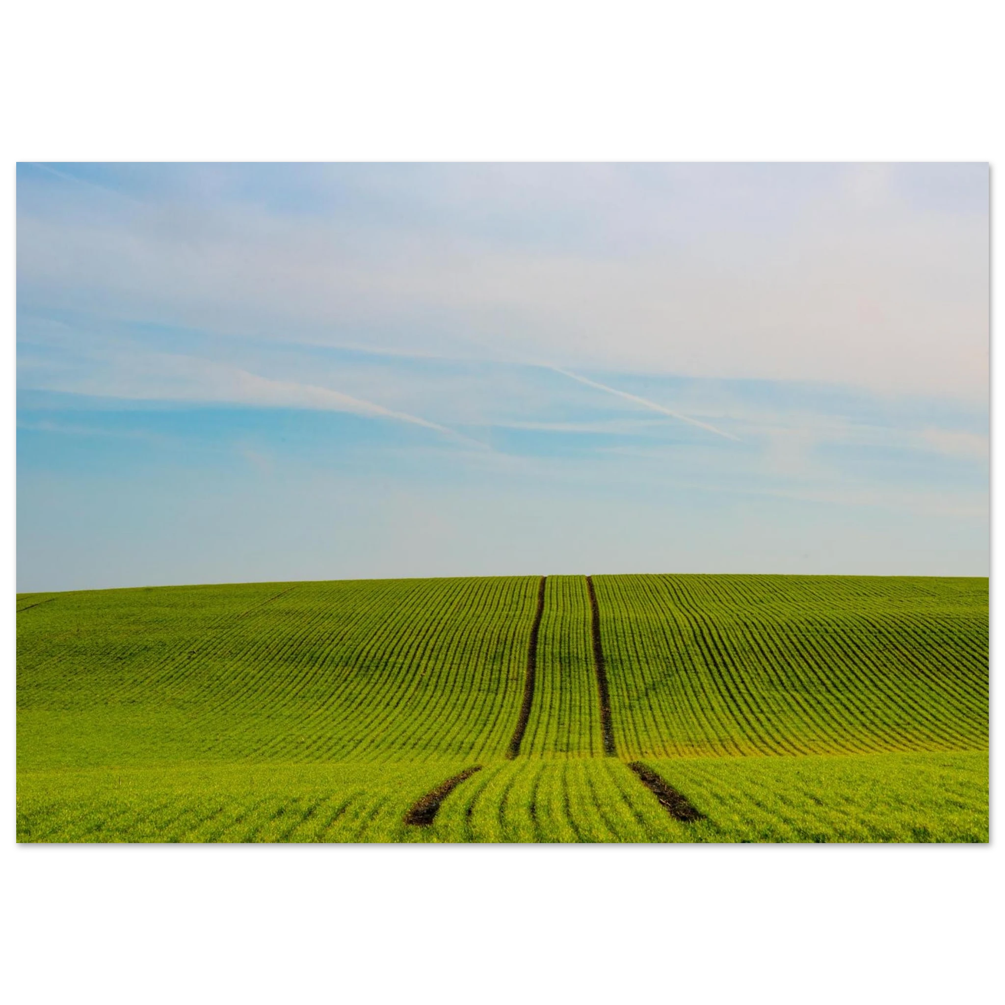 d5c92c91-c0b3-4535-ab9d-52e12d9dd4d0