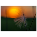 d5efe7a1-4335-4d74-96e0-83d6721745a2