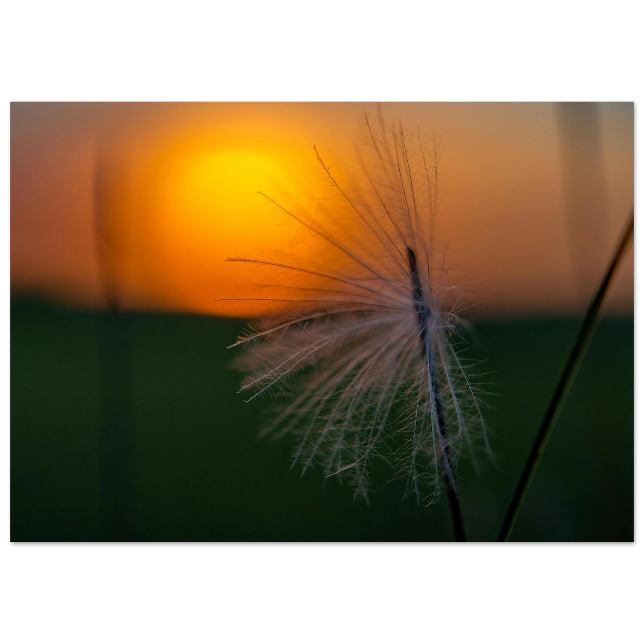 d5efe7a1-4335-4d74-96e0-83d6721745a2
