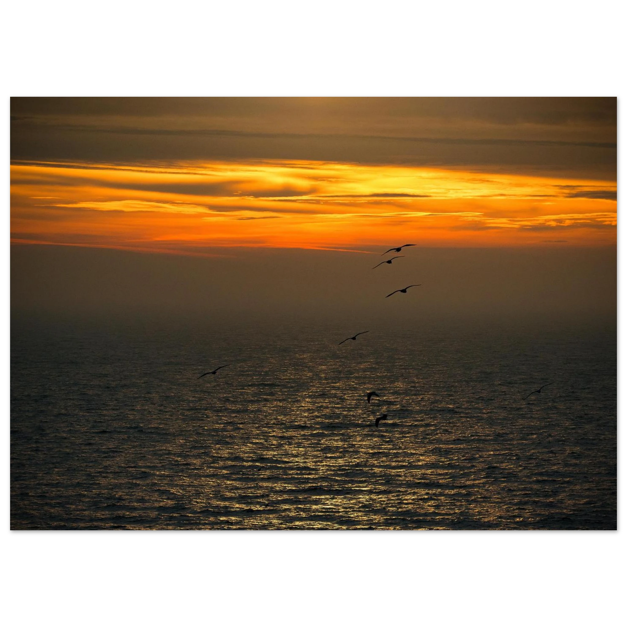 d627afe2-8663-4b87-9f2b-7f11151b1774