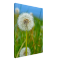 d6321af5-7320-4f72-a470-b623ee552952