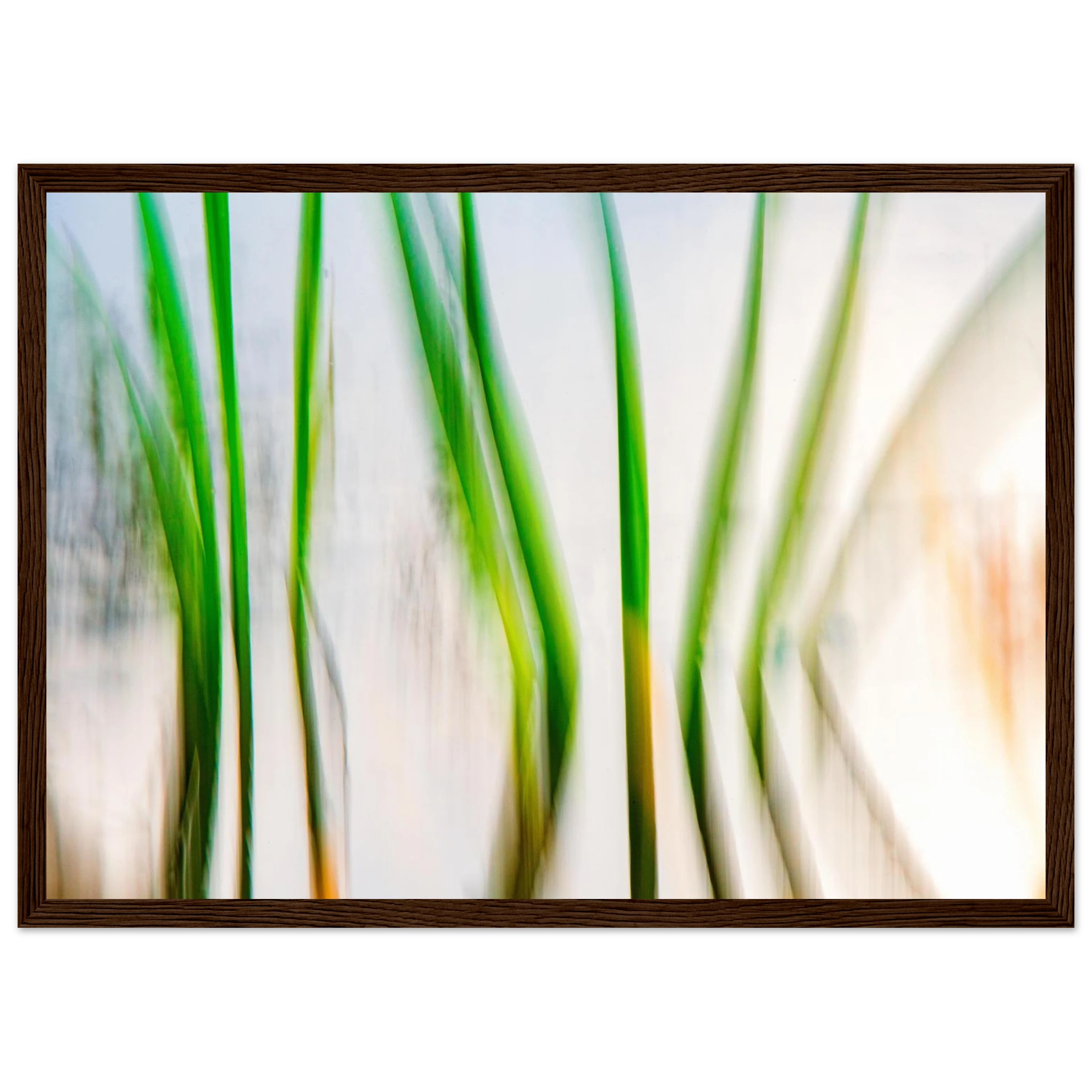 d63e22fe-f3b3-42df-9b21-4fa4eaf20eb7