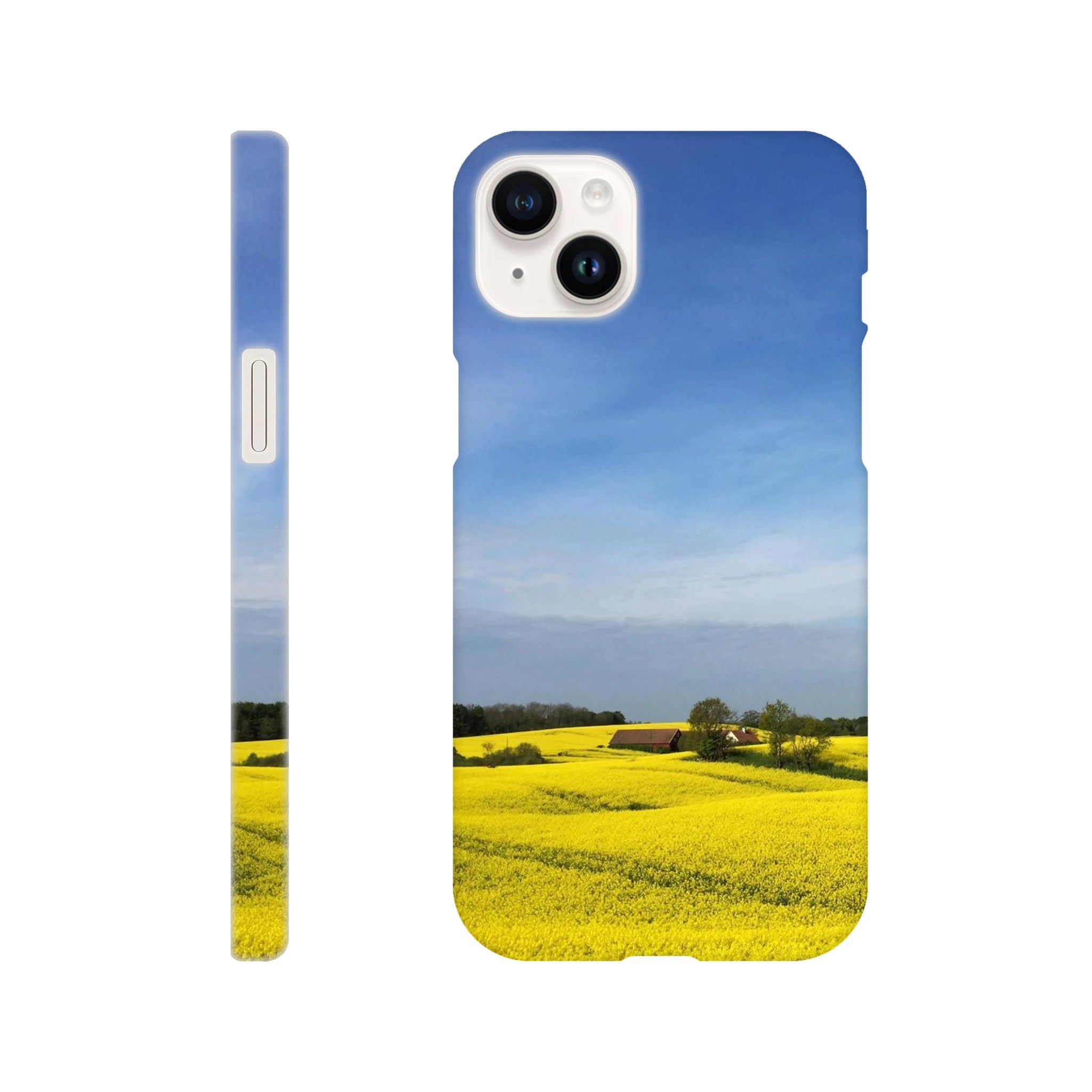 d66224c7-8d8c-43f8-8e49-e458463d24db
