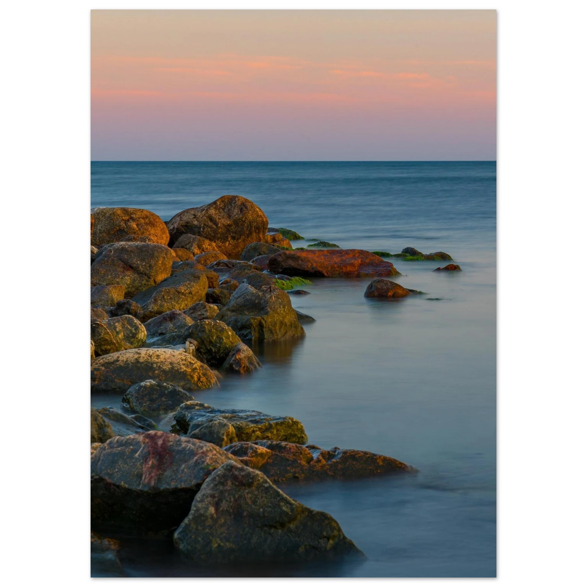 d664d489-223f-4db7-ab3b-c5f53ce02e39