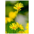 d68d2ae5-00b0-43e6-9d66-2bab476a1d2f