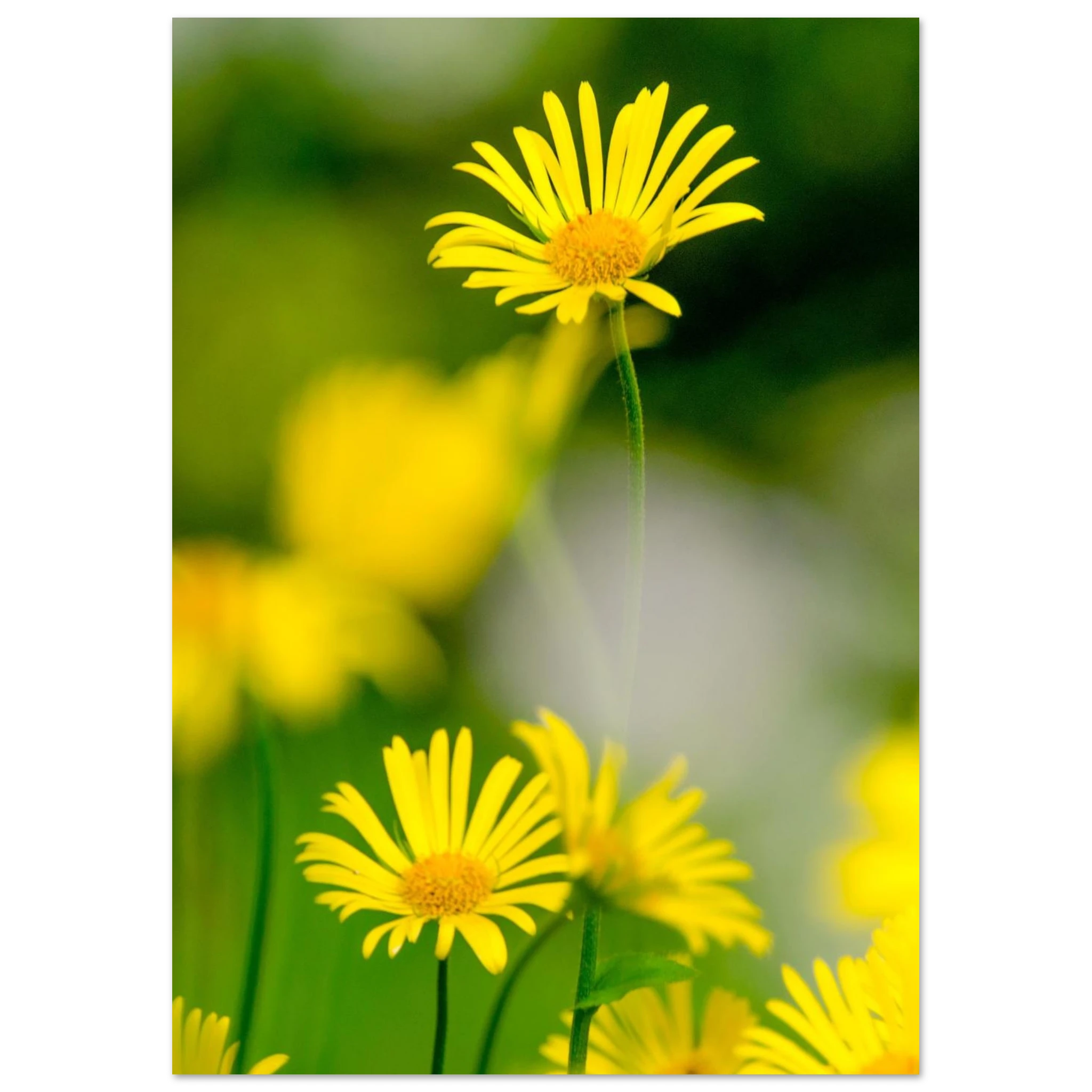 d68d2ae5-00b0-43e6-9d66-2bab476a1d2f