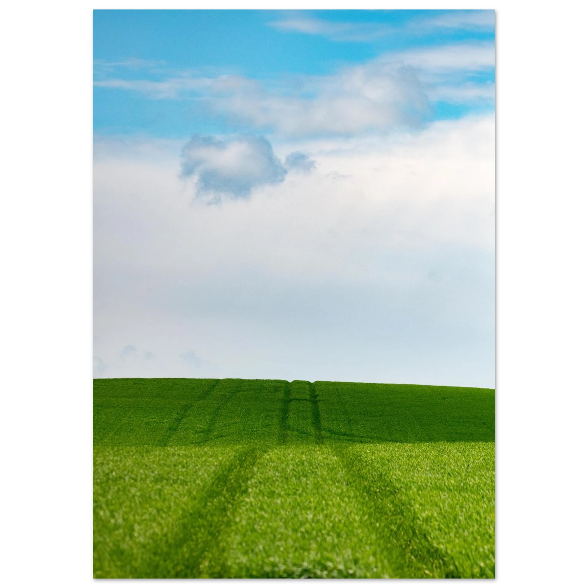 d73870e5-28ae-480d-920e-f0df8fd69c13