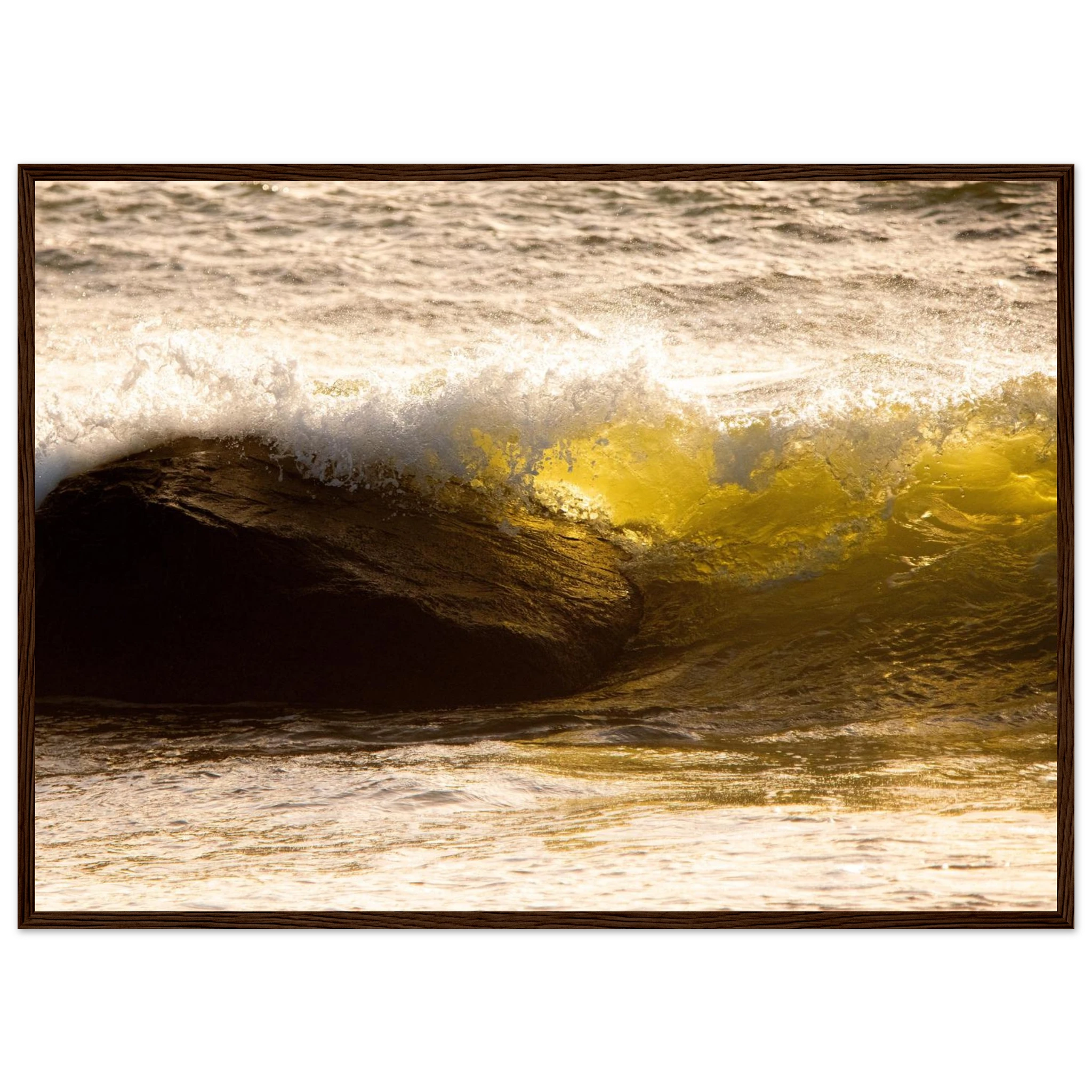 d7450023-7ad0-476a-8865-85796fe02450