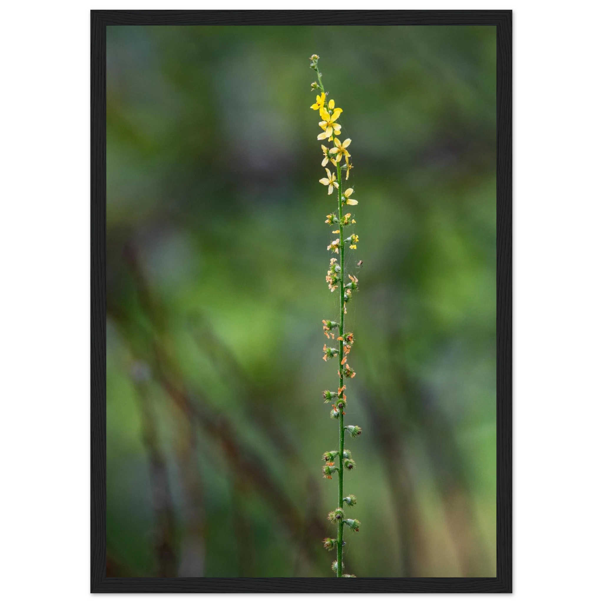 d77c8947-254e-4f41-92f9-7af414cab4d6