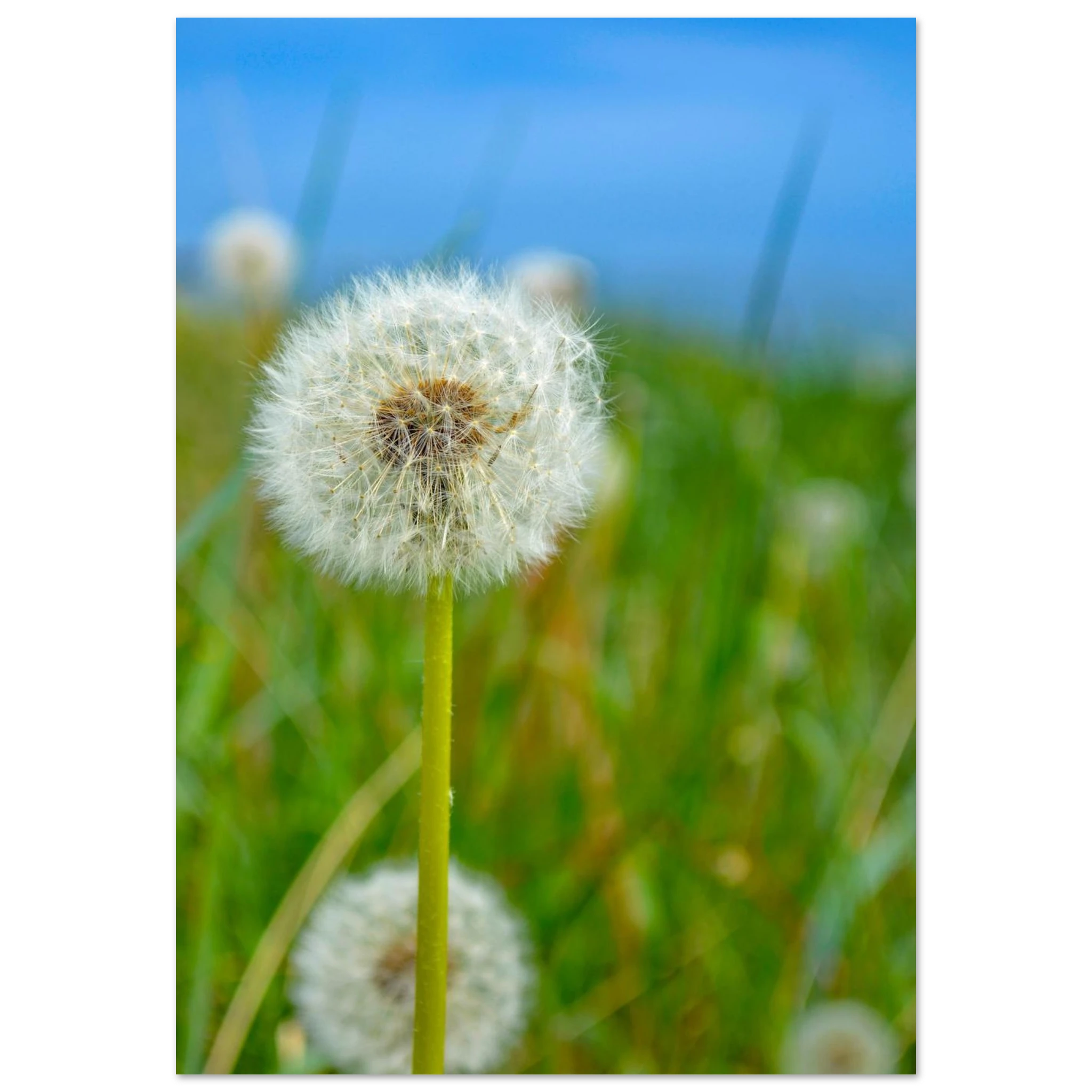 d78c230d-f0c3-4c34-86a8-60a2ff793b9a