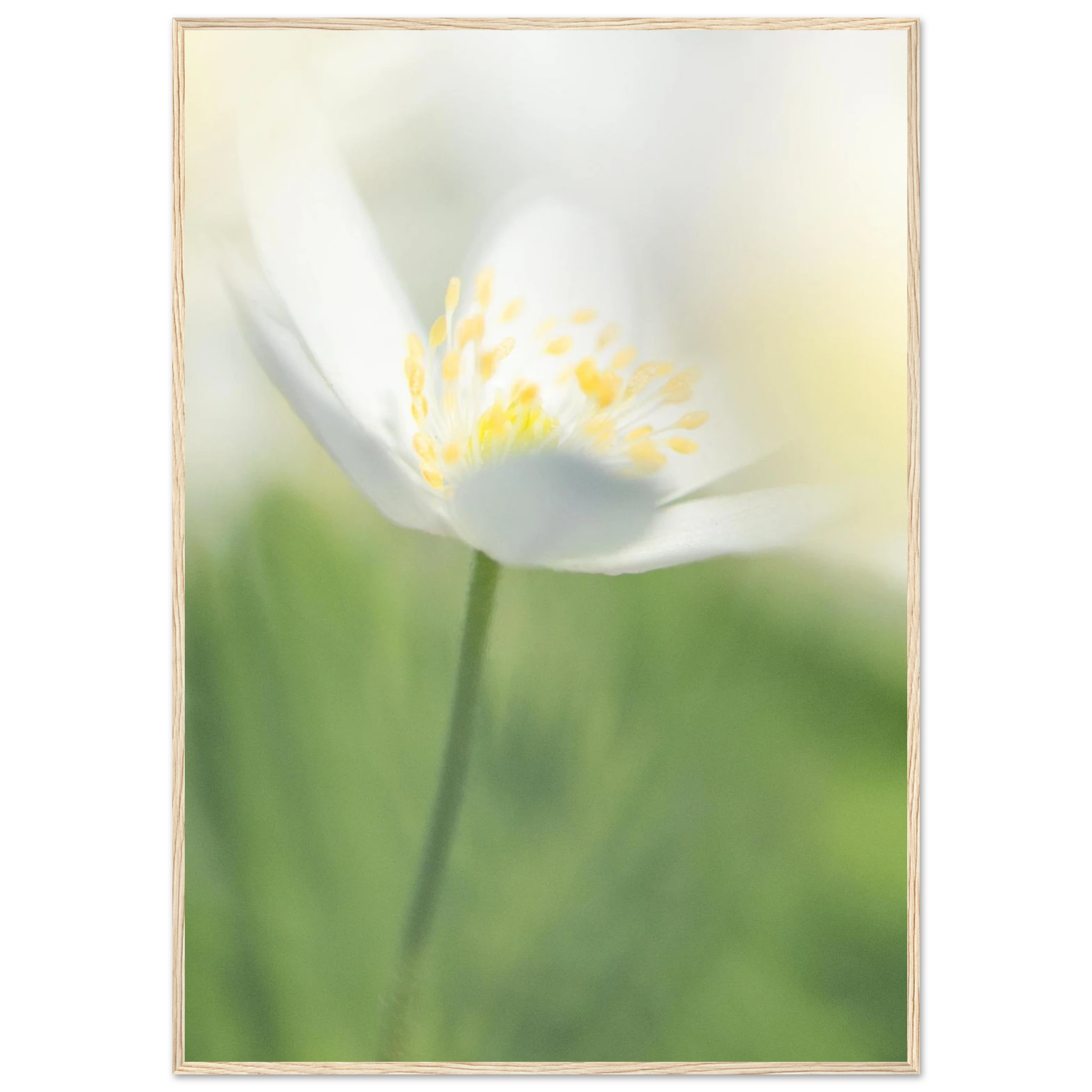 d79c6750-70cc-4044-9c03-bbe78533f234