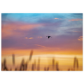 d807a5ca-b1df-48f4-acff-535216943a21
