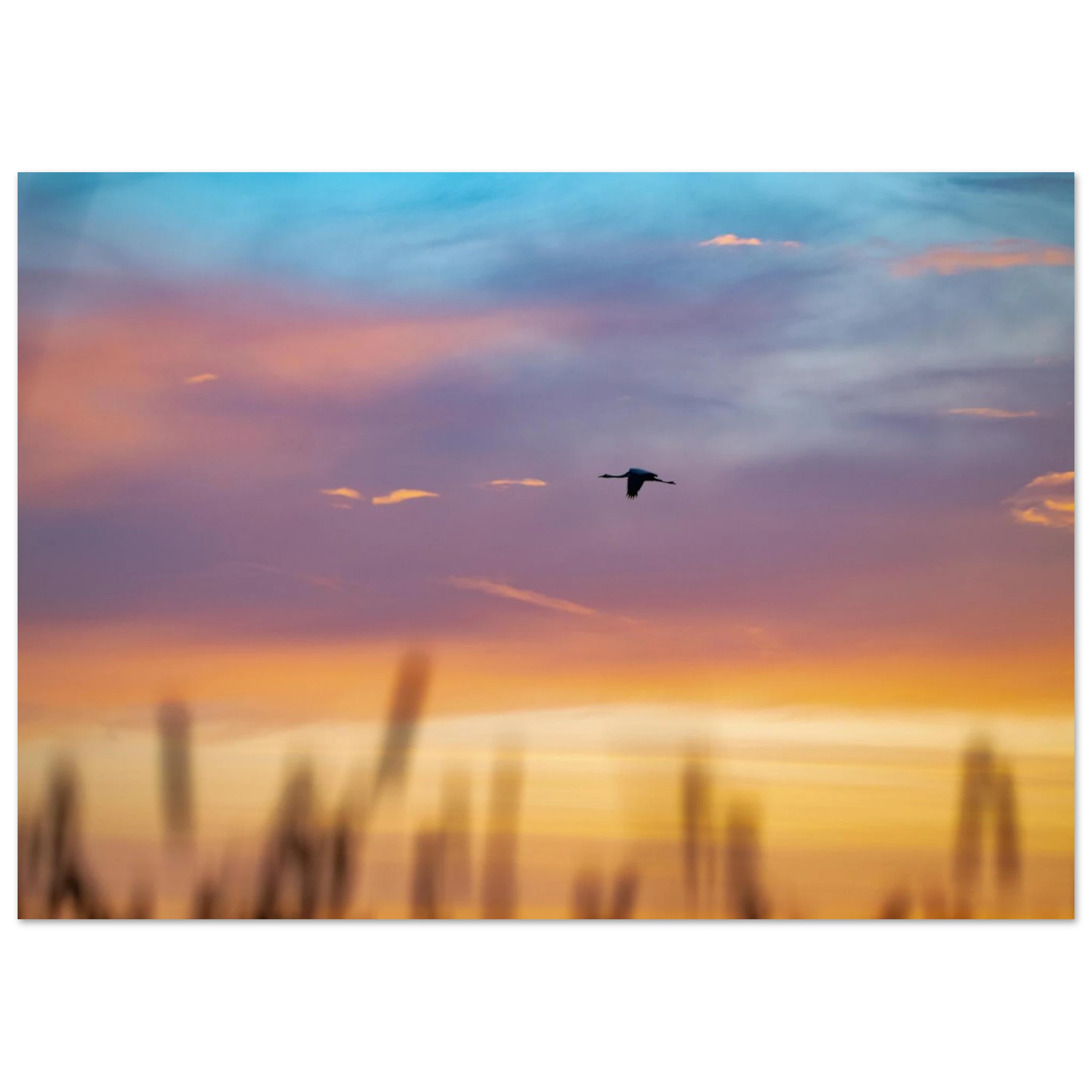 d807a5ca-b1df-48f4-acff-535216943a21