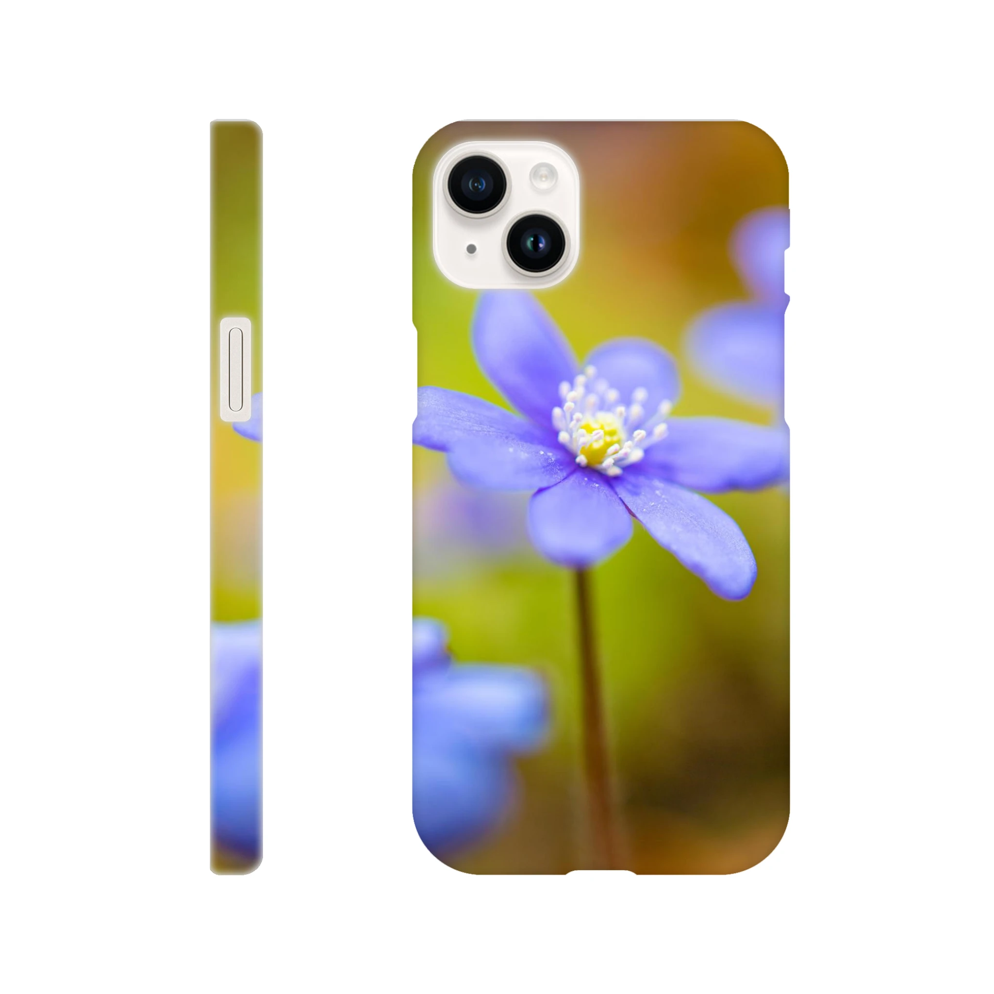 d816ab03-bf39-4a30-b371-65de0c7655d2
