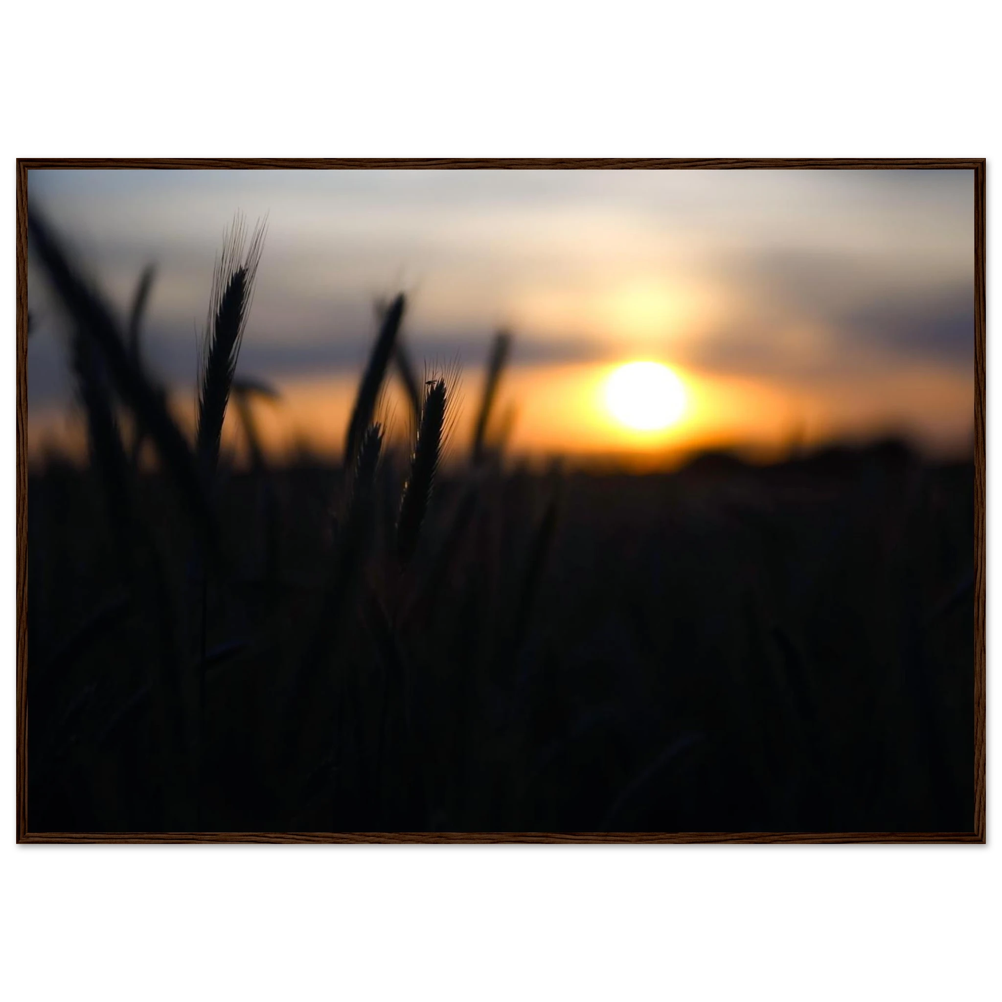 d816b573-48d7-45b7-b2e0-44a8f1ff438f