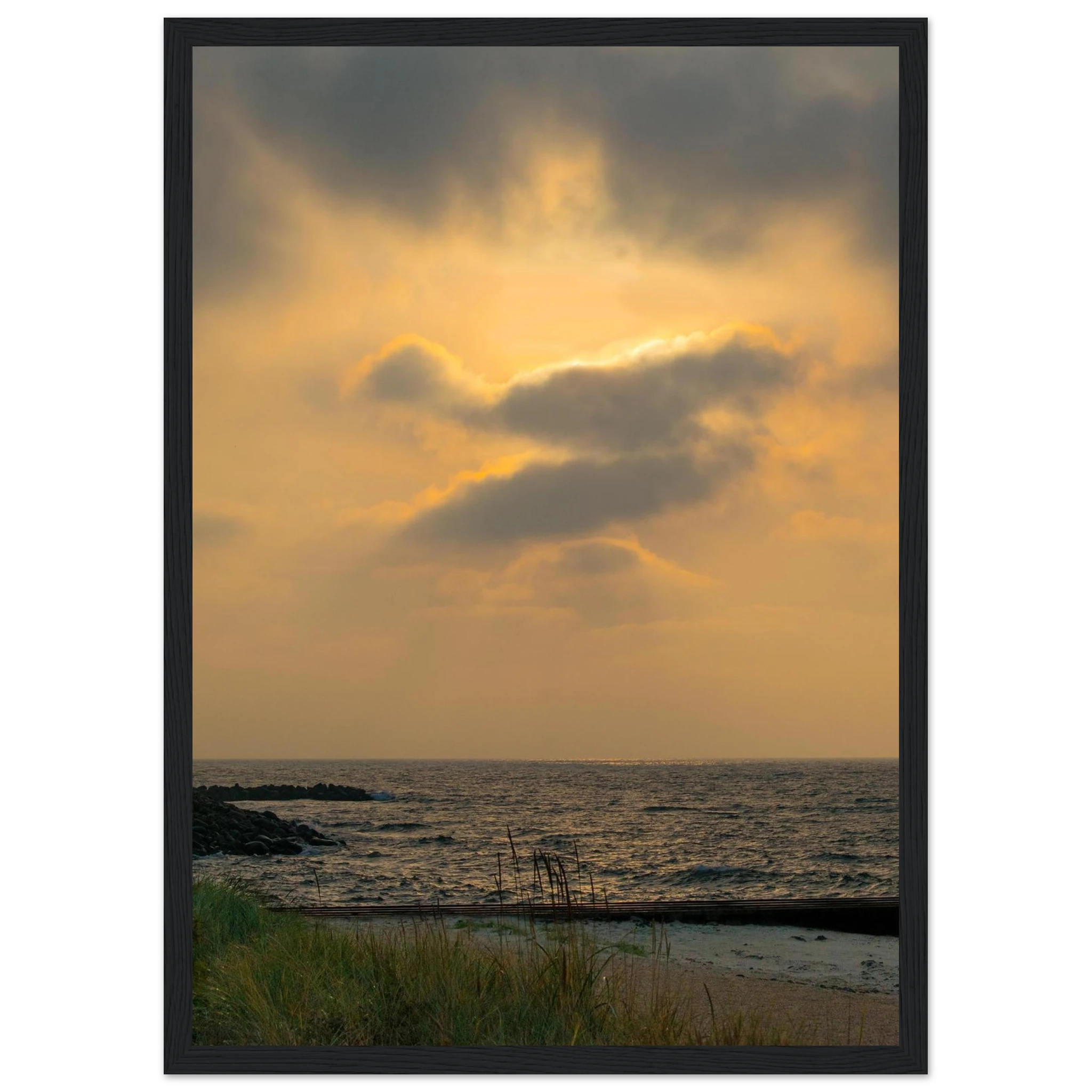 d818046c-bf4d-443e-b552-372f4bd082e6