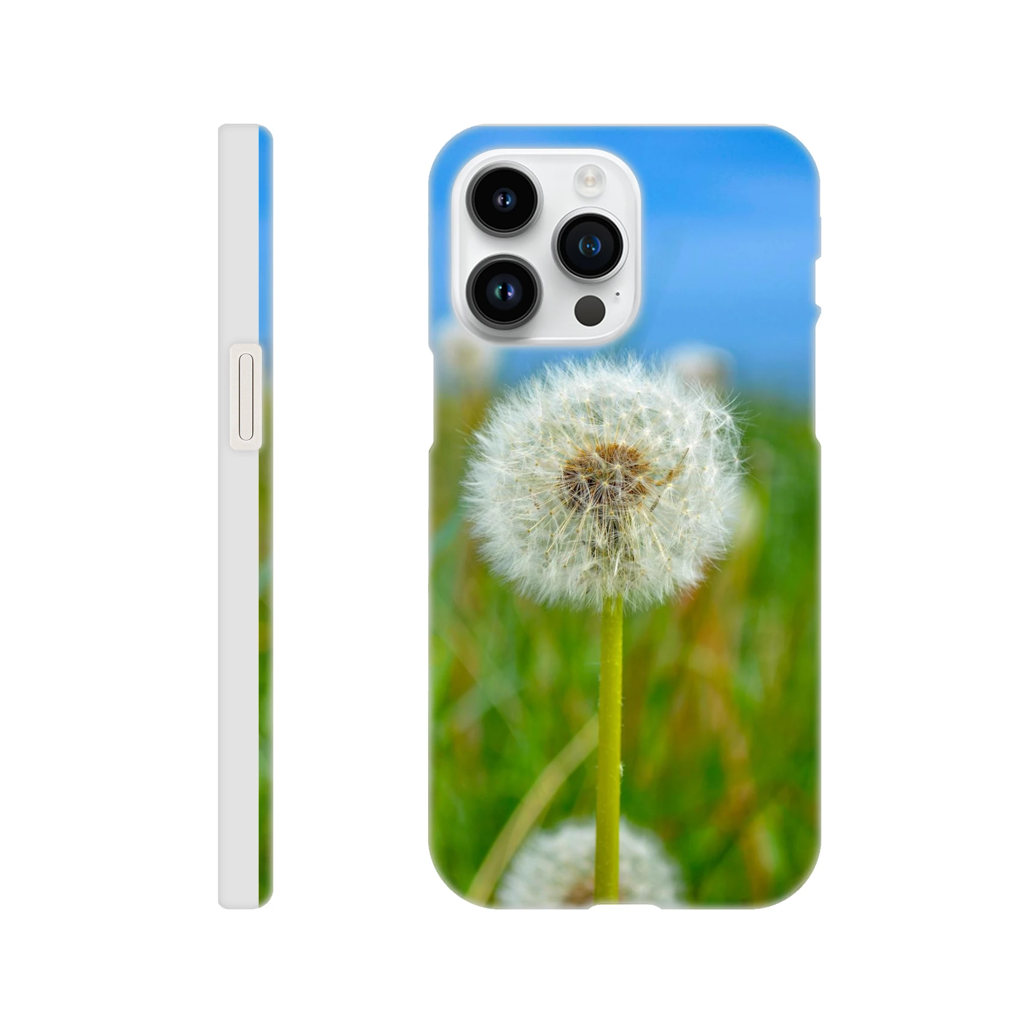 d81e4cb3-9334-4c14-9bad-c375d5731939