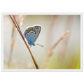 d82c7988-2a11-460d-89b6-fc8982285afe