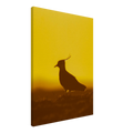 d88bc620-024a-4477-a97b-93d9ae44b80a