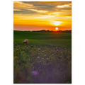 d8b96375-10cc-44b8-9c9d-f99cb5b2a477